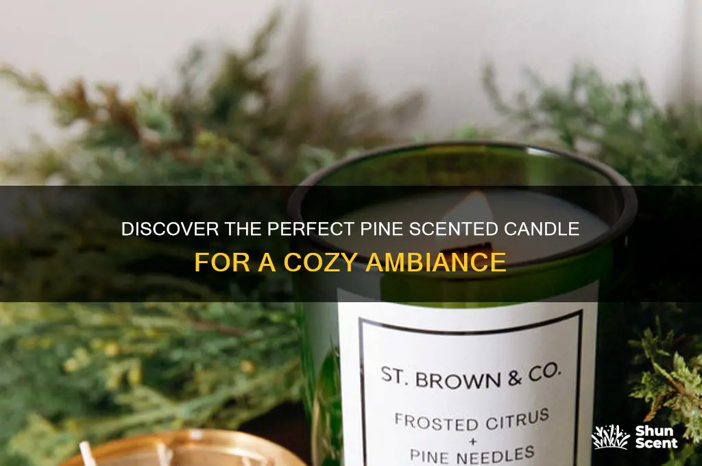 what is the best pine scented candle