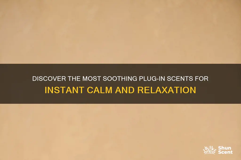 what is the best plug in scent for calming