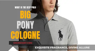 Polo Big Pony: Which Fragrance Suits You Best?