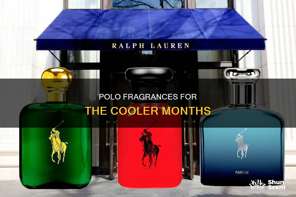 what is the best polo cologne for fall and winter