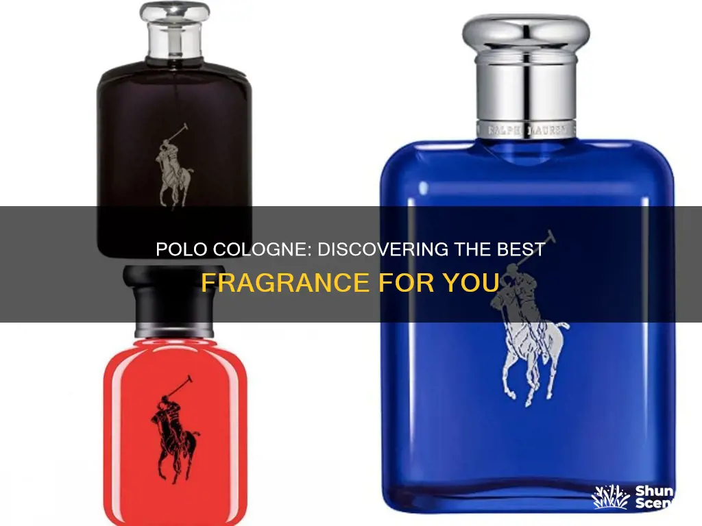 what is the best polo cologne