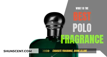 Polo Fragrance: Which is the Best Scent for You?
