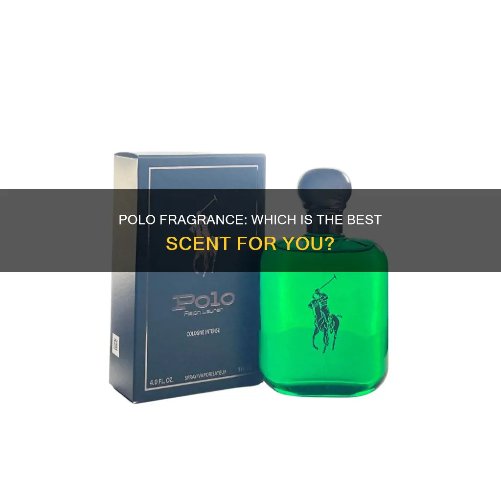 what is the best polo fragrance
