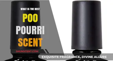 Discover the Best Poo Pourri Scent for Freshness and Confidence