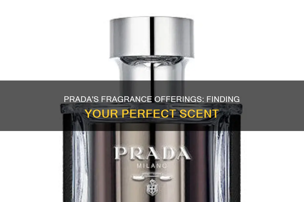 what is the best prada perfume