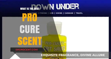 Discover the Ultimate Pro-Cure Scent for Maximum Fishing Success