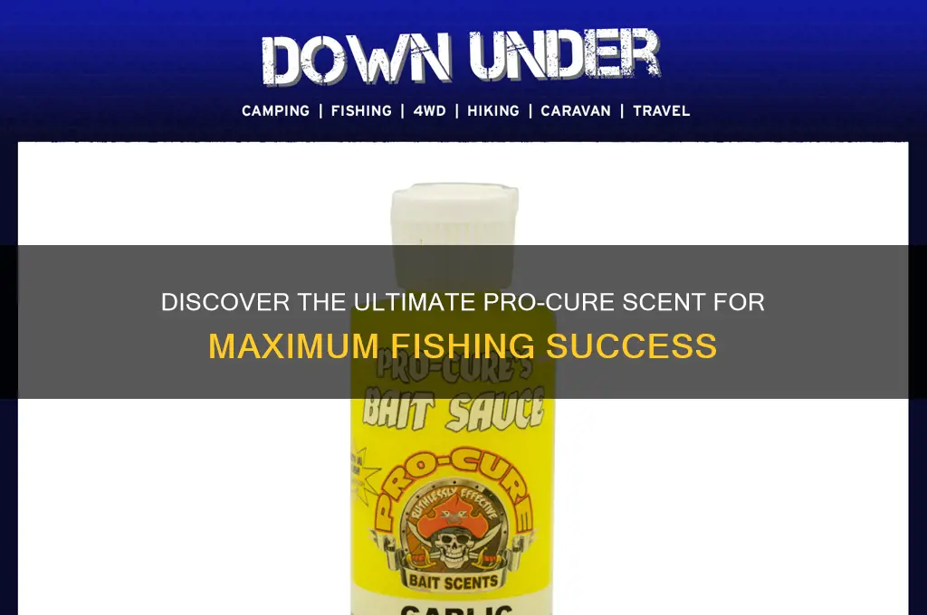 what is the best pro cure scent