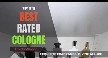 Top-Rated Colognes: Finding Your Signature Scent