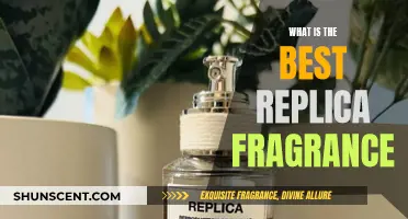 The Ultimate Replica Fragrance: Smell Expensive, Pay Less