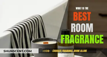 The Best Room Fragrances: Elevate Your Space