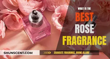 The Ultimate Rose Fragrance Guide for Perfume Connoisseurs