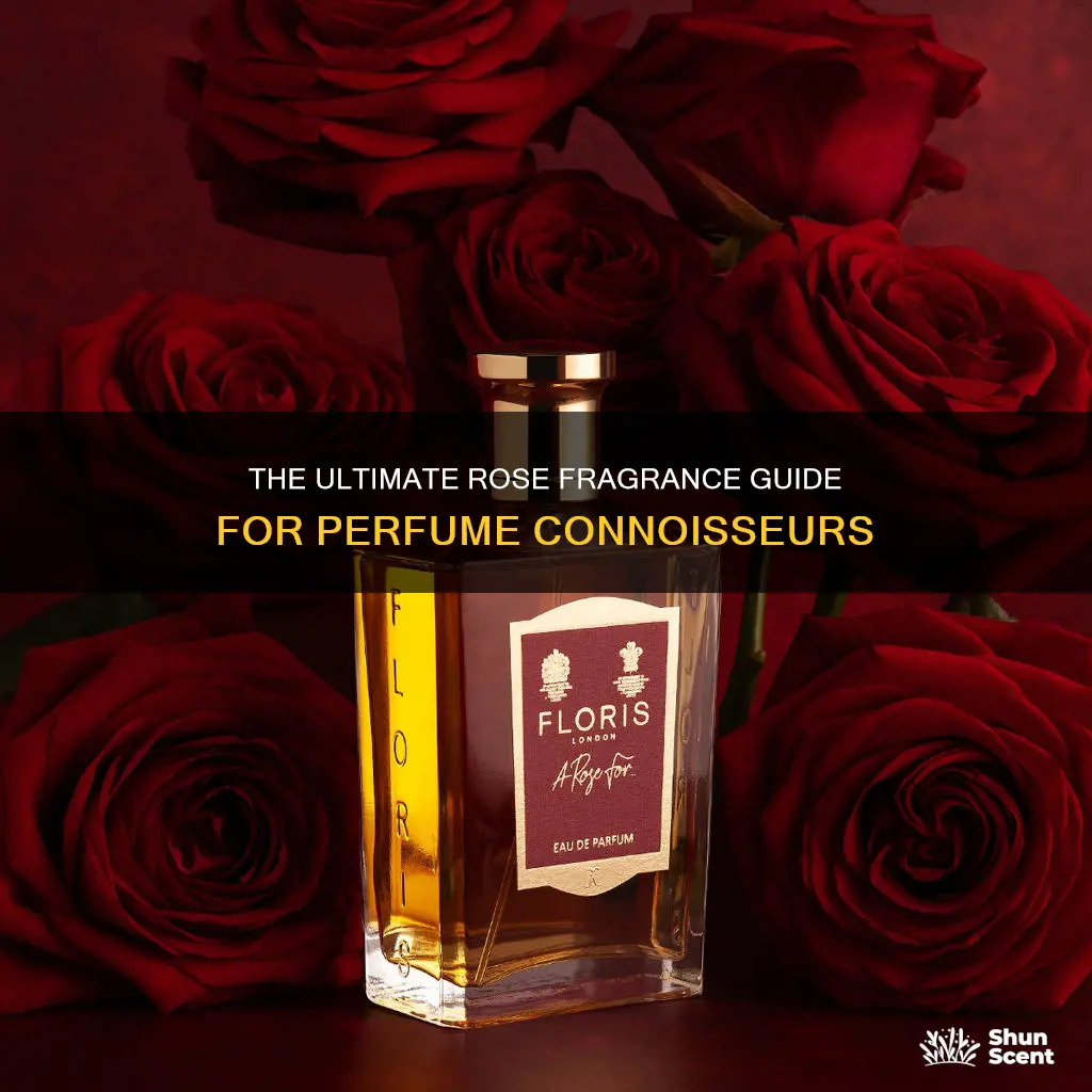 what is the best rose fragrance