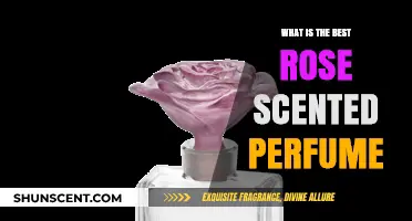 Rose Scents: The Best Perfumes for Women