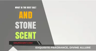 Discover the Best Salt and Stone Scent for Your Lifestyle