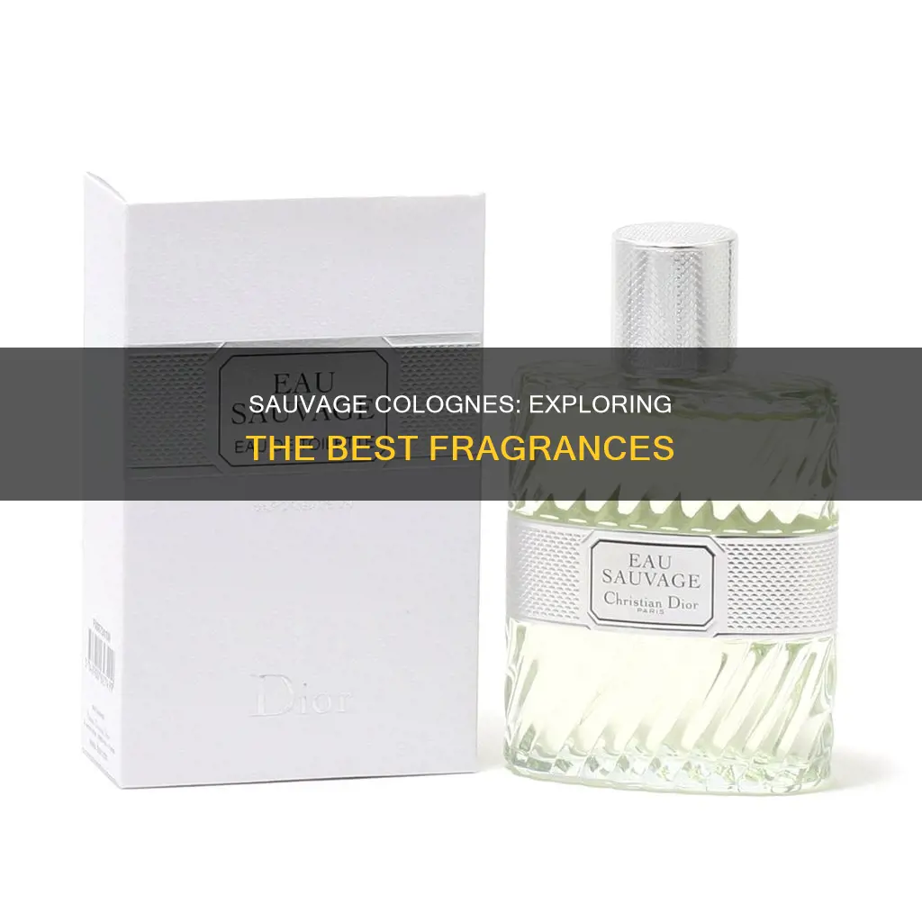 what is the best sauvage cologne