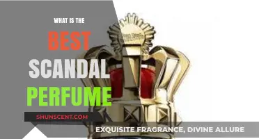 Scandal Perfumes: Discover the Best Fragrance for You