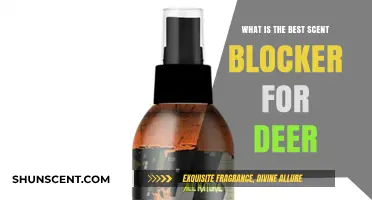Top Deer Hunting Scent Blocker: Ultimate Guide to Staying Undetected