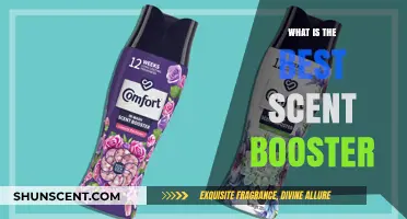 Discover the Ultimate Scent Booster for Fresh, Long-Lasting Laundry