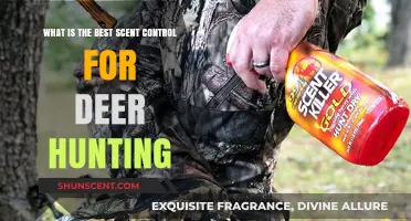 Mastering Deer Hunting: Top Scent Control Strategies for Success