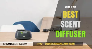 Discover the Perfect Scent Diffuser for Your Home Ambiance