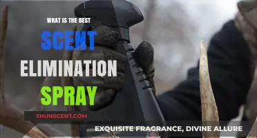Top Scent Elimination Sprays for Hunters: Stay Undetected in the Wild