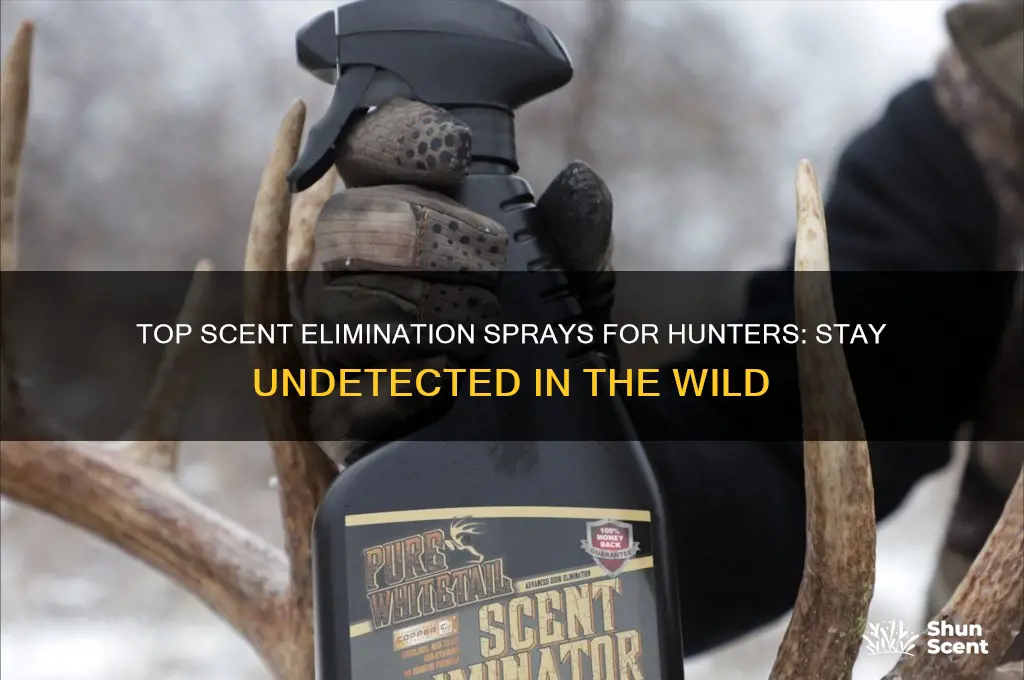 what is the best scent elimination spray
