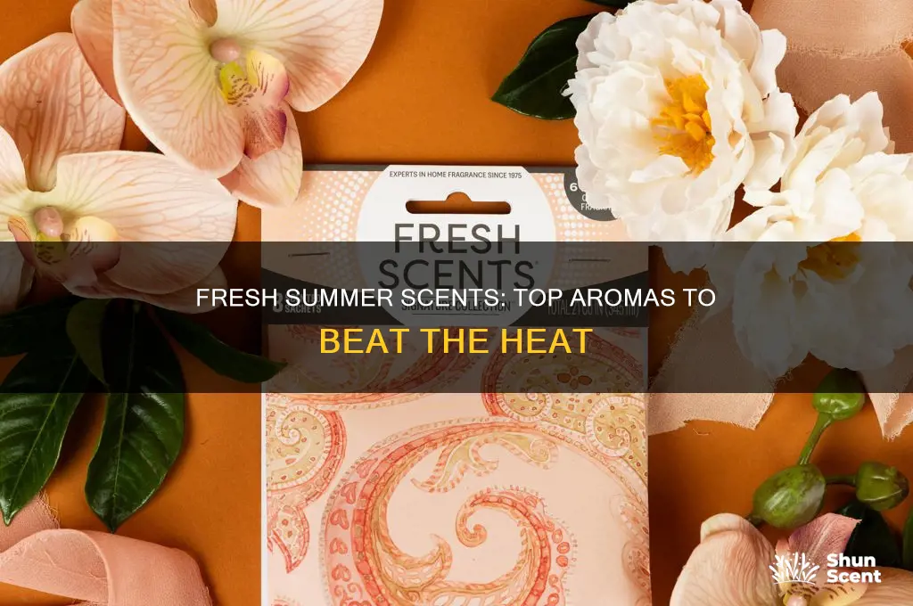 what is the best scent fir summer