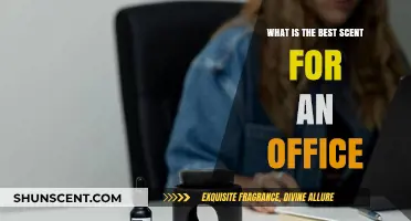 Boost Productivity: The Ideal Office Scent for Focus and Comfort