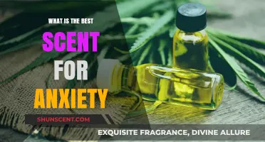 Calming Aromas: Discover the Best Scents to Ease Anxiety Naturally