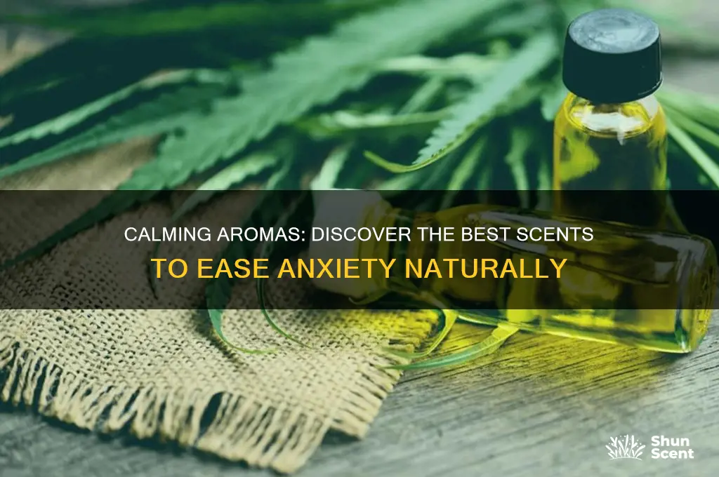 what is the best scent for anxiety