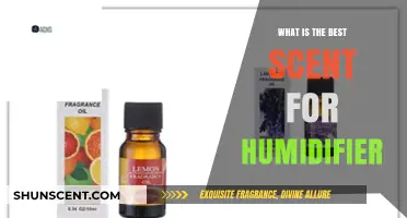 Discover the Perfect Humidifier Scent for Ultimate Relaxation and Comfort