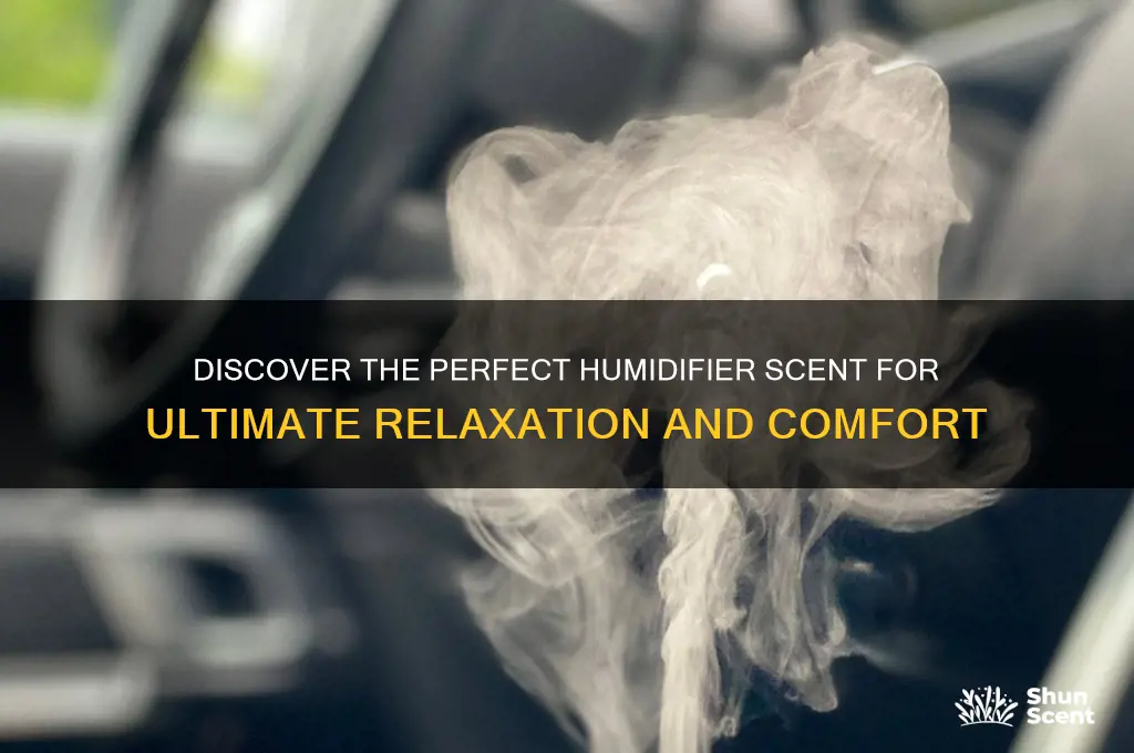 what is the best scent for humidifier