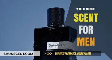 Discover the Perfect Masculine Fragrance: Top Scents for Men