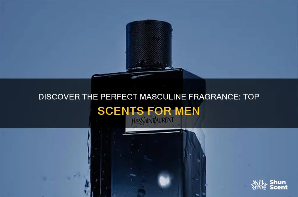 what is the best scent for men