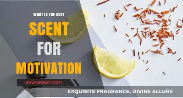 Energize Your Productivity: Discover the Ultimate Motivational Scent
