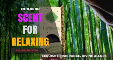 Unwind with Nature: Discover the Ultimate Relaxing Aromas
