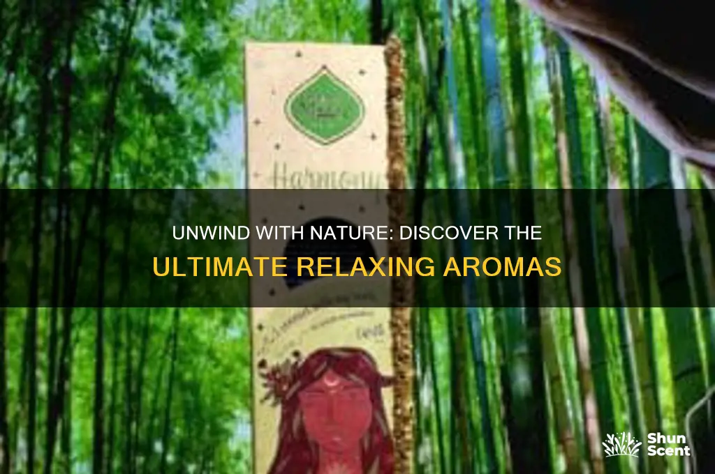 what is the best scent for relaxing
