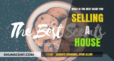 Top Home-Selling Scents: Aromas That Attract Buyers Instantly