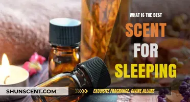 Discover the Best Scent for Sleeping: Enhance Your Rest Tonight