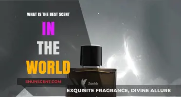 Discovering the World's Most Captivating and Irresistible Signature Scent