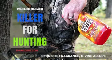 Top Scent Killers to Enhance Your Hunting Success and Stealth