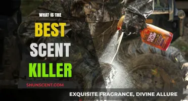 Top Scent Killer Strategies for Ultimate Hunting Success Revealed