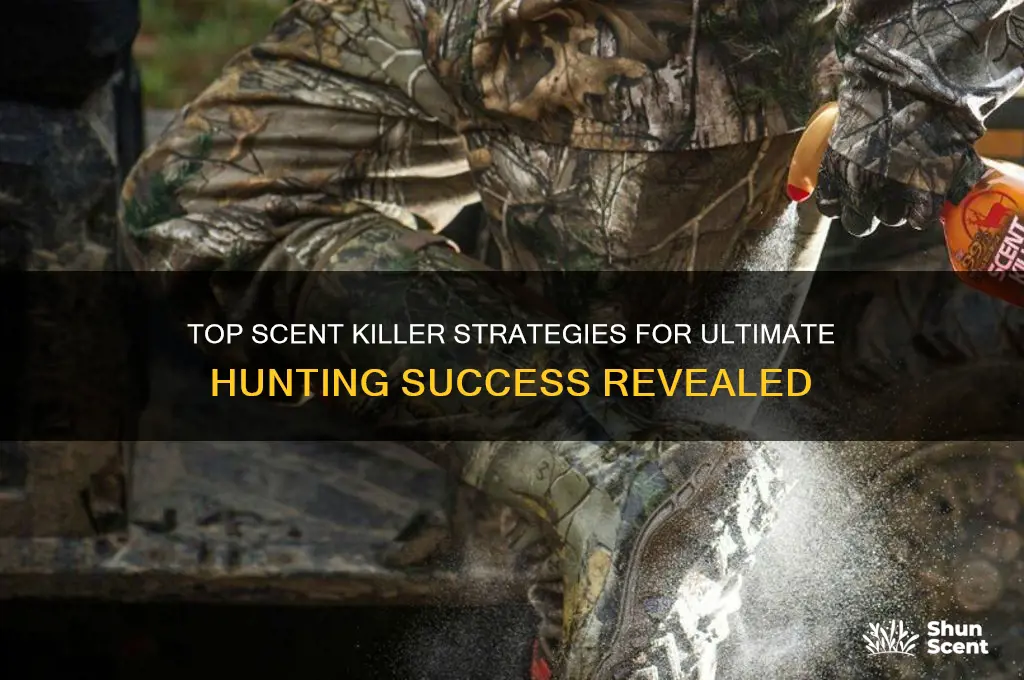 what is the best scent killer