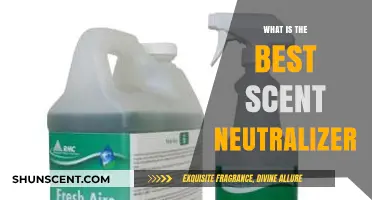 Discover the Ultimate Scent Neutralizer for Fresh, Odor-Free Spaces