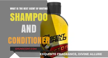 Discover the Perfect Routine: Top Scented Shampoo and Conditioner Picks