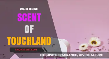 Discover the Ultimate Touchland Scent: A Fragrant Journey Awaits
