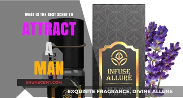 Irresistible Scents: Top Fragrances to Captivate and Attract Men