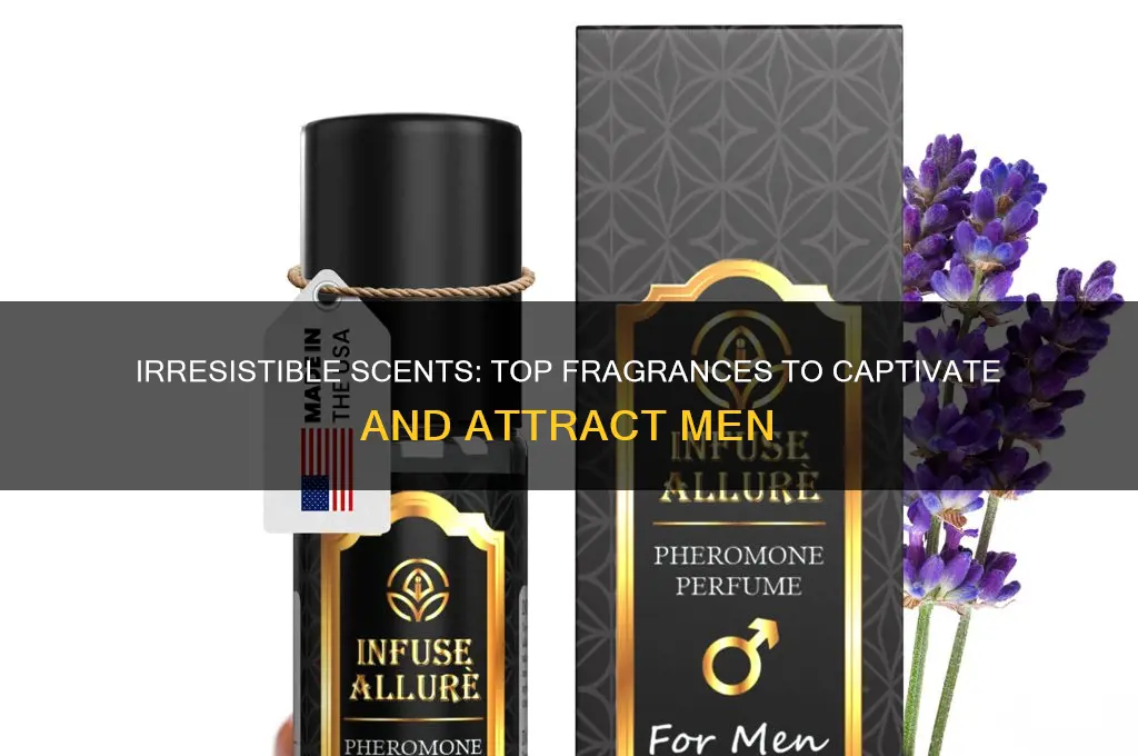 what is the best scent to attract a man
