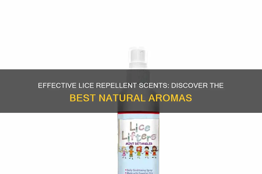 what is the best scent to repel lice