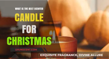 Festive Fragrances: Top Christmas Scented Candles to Warm Your Home